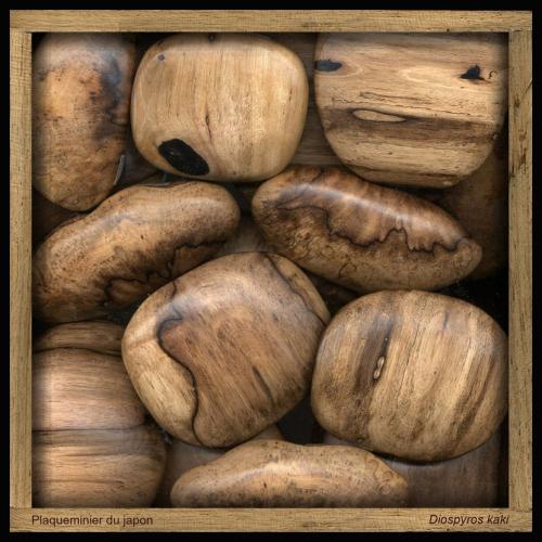 Plaqueminier du Japon